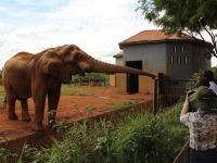 04_brazil-belhina-babu-and-chocolate-brasilia-zoo-030 04_brazil-belhina-babu-and-chocolate-brasilia-zoo-030