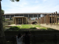 1_carla-and-koala-rio-zoo-032 1_carla-and-koala-rio-zoo-032