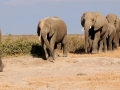 fb_header6 fb_header6