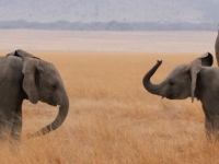 seb_fb_header18 seb_fb_header18