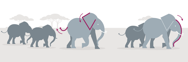 ilustração elefantes - comunicação