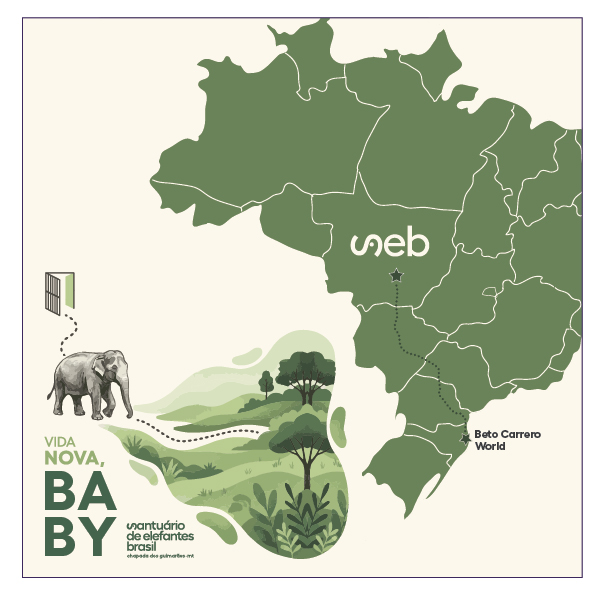 resgateBabyMapaPt-01