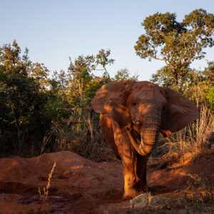 kenya_seb6